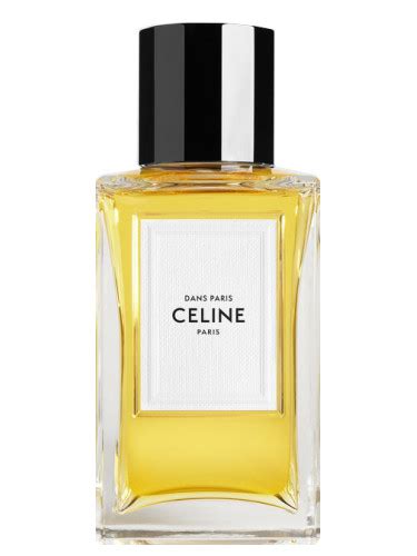 dans paris celine|celine luxury perfumes.